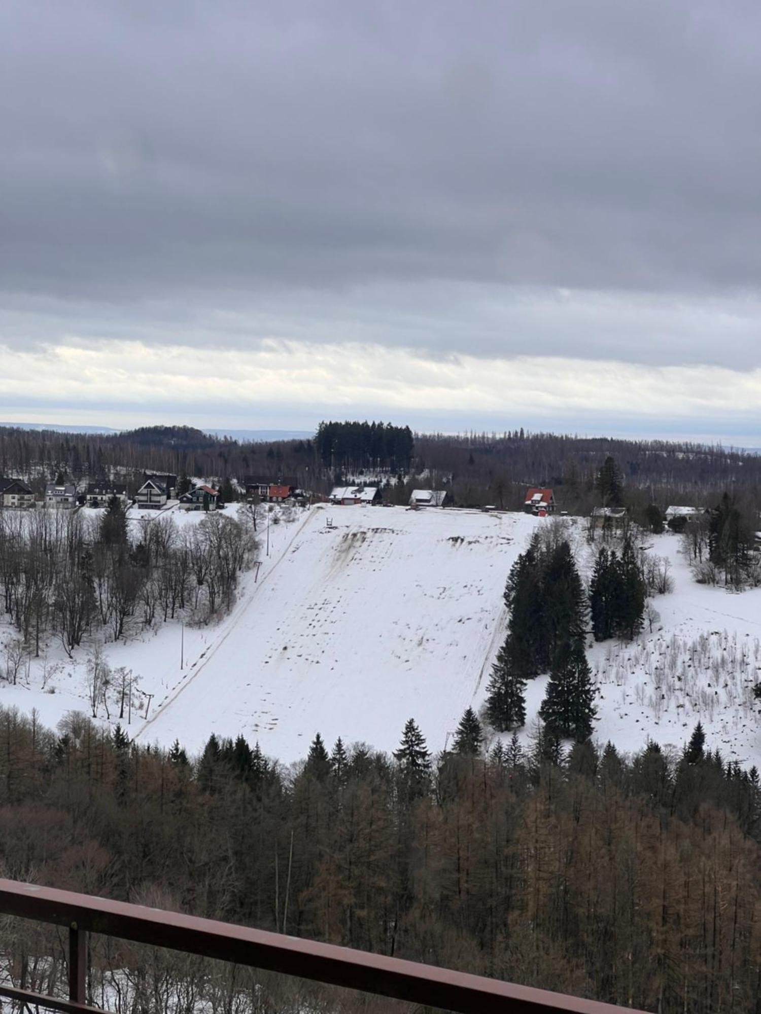Penthouse - Panorama Suite - Hohegeiss Braunlage Luaran gambar